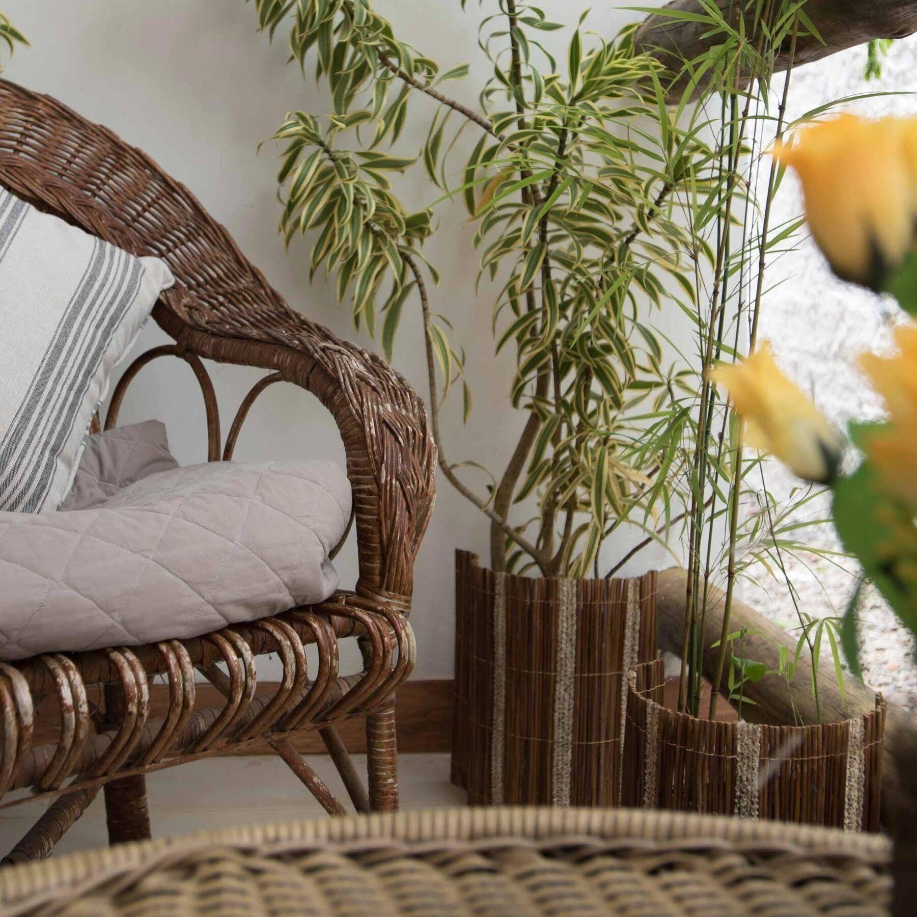 Htl Terra Mar Barra Grande Bed & Breakfast Eksteriør bilde